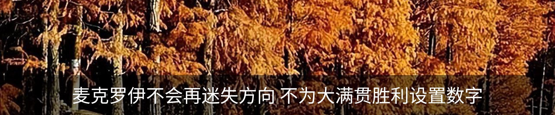 内页banner